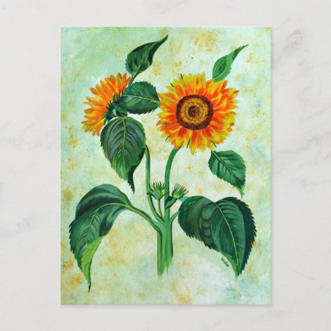 Vintage Sunflowers Botanical Art Postcard (Front)