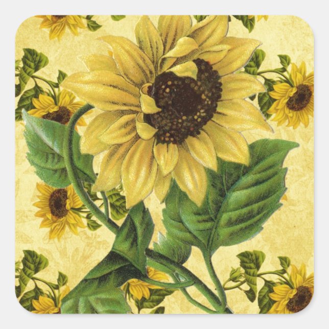 Vintage Sunflowers Square Sticker (Front)