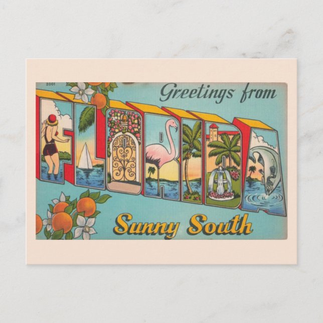 Vintage Sunny Florida Postcard (Front)