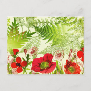 Vintage Sunshine Blooming Poppies Floral Announcement Postcard