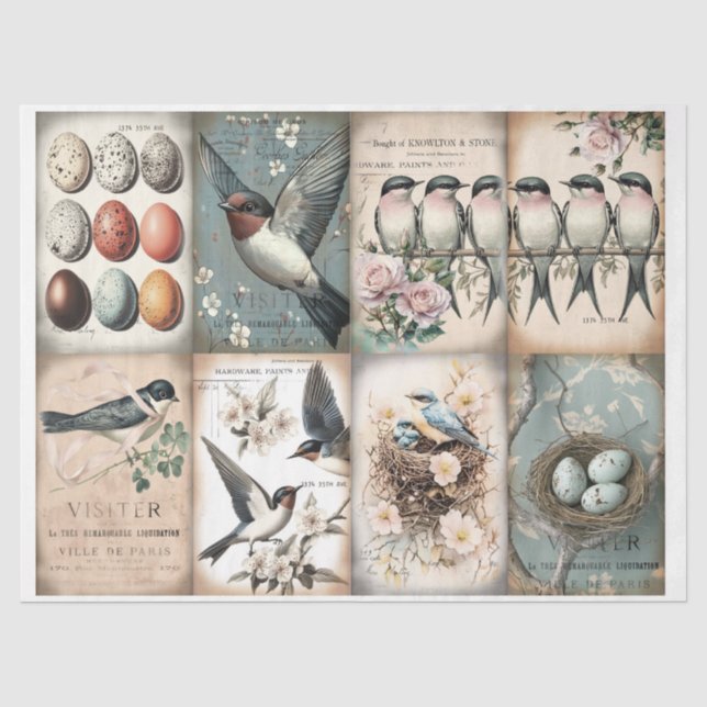 Vintage Swallow and flowers spring Tissue Paper (Front)