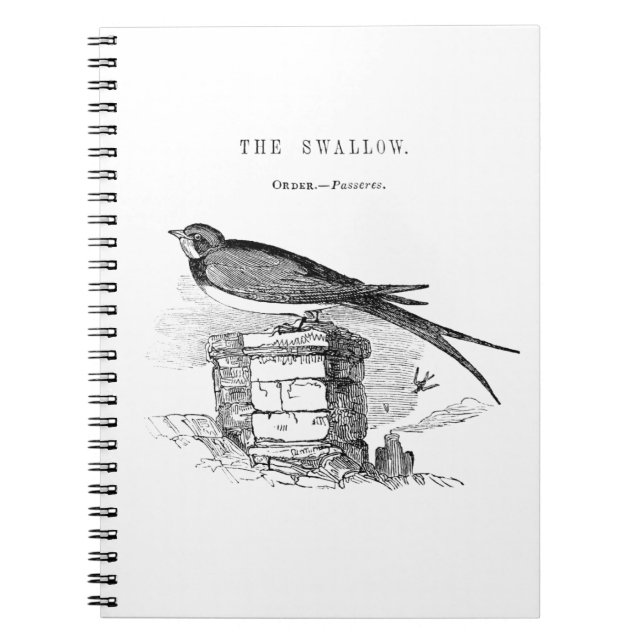 Vintage swallow bird notebook (Front)