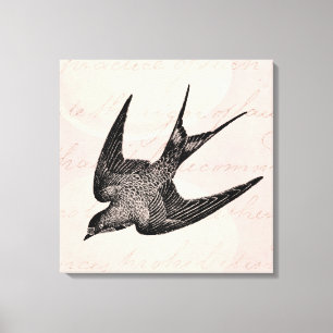 Vintage Swallow Illustration - 1800's Antique Bir Canvas Print