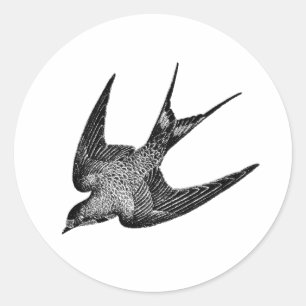 Vintage Swallow Illustration - 1800's Antique Bir Classic Round Sticker