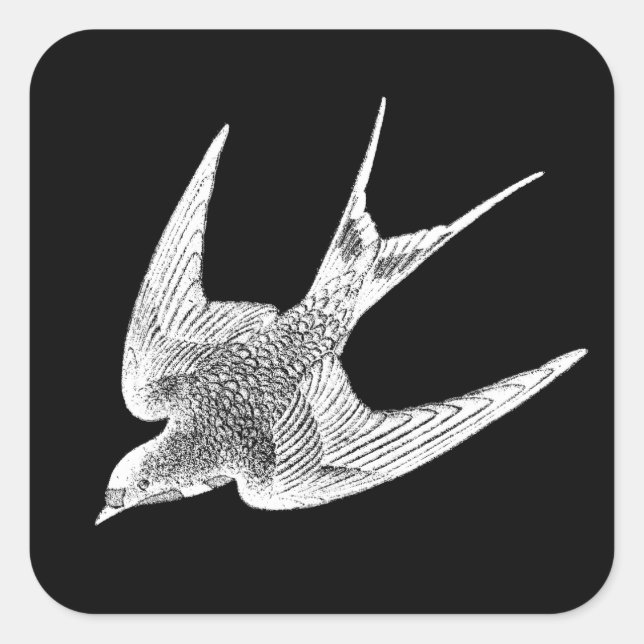 Vintage Swallow Illustration - 1800's Antique Bird Square Sticker (Front)