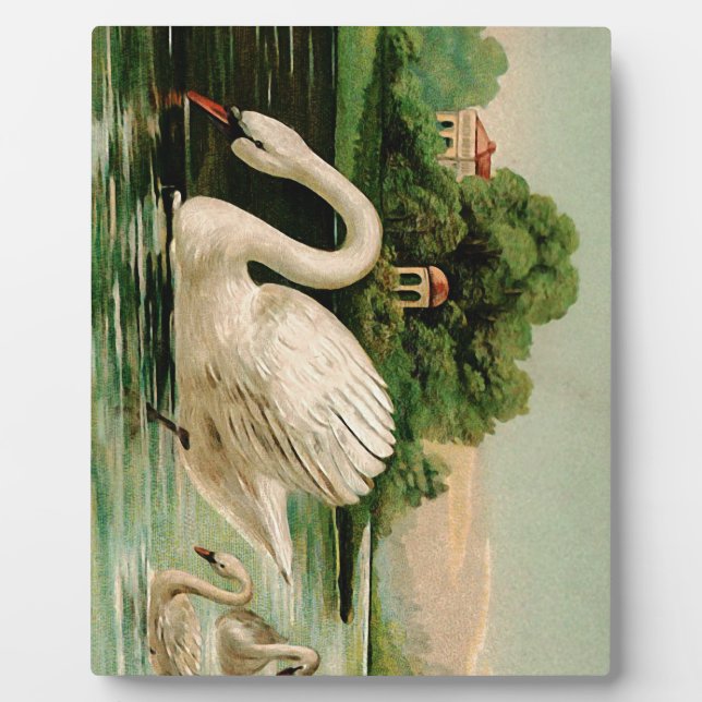 Vintage Swan in the Lake Plaque (Front)