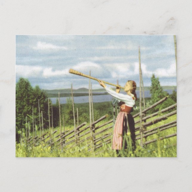 Vintage Sweden, National costume Postcard (Front)