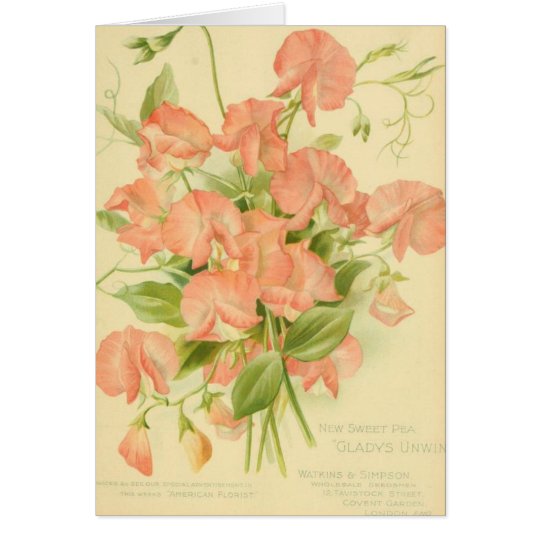 Vintage Sweet Peas Card