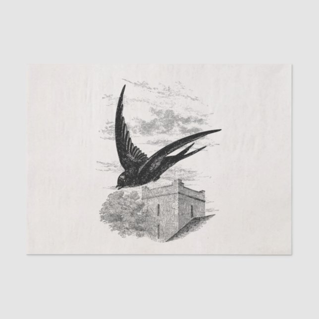 Vintage Swift Swallow Bird Illustration Template Tissue Paper (Front)