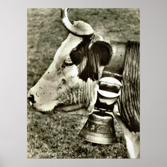 Vintage Switzerland, cow with cow bell Poster (Front)