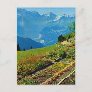 Vintage Switzerland, Schynigge Platte, 1909 9 Postcard