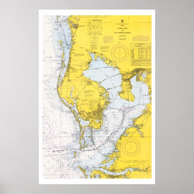 Vintage Tampa Bay nautical chart (Front)