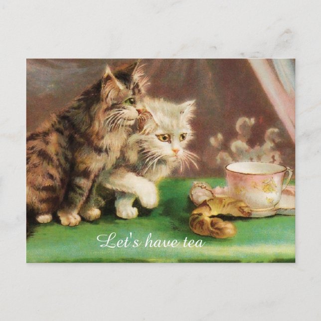 Vintage tea time cats custom postcard (Front)