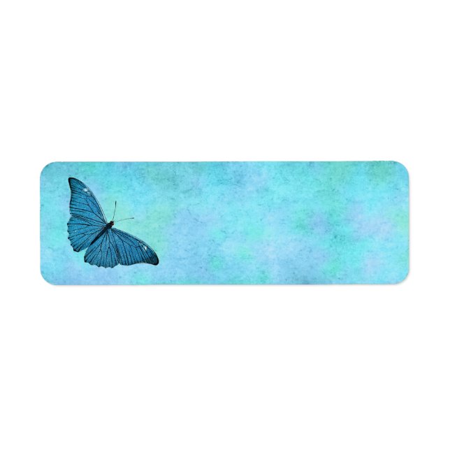 Vintage Teal Blue Butterfly 1800s Illustration (Front)