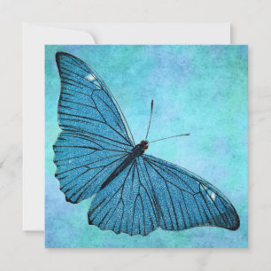Vintage Teal Blue Butterfly 1800s Illustration