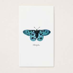 Vintage Teal Blue Butterfly Illustration - 1800's