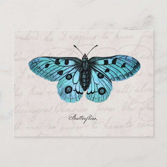 Vintage Teal Blue Butterfly Illustration - 1800's Postcard (Front)