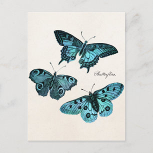 Vintage Teal Blue Butterfly Illustration Template Postcard