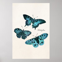Vintage Teal Blue Butterfly Illustration Template