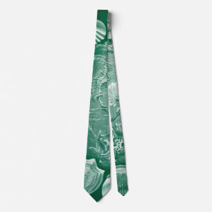 Vintage Teleostei Teleosts Fish by Ernst Haeckel Tie