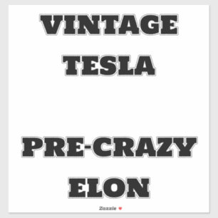 Vintage Tesla Pre-Crazy Elon  Sticker Decal