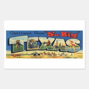 Vintage Texas Sticker