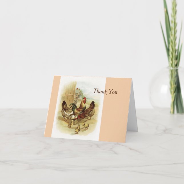 Vintage - Thank You - Barnyard Chicken Family, (Front)