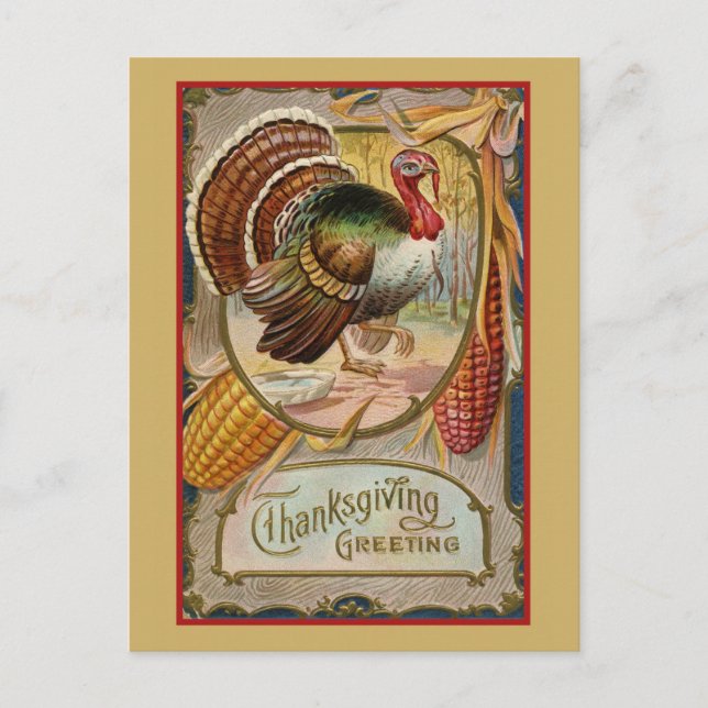 Vintage Thanksgiving Greetings Turkey Postcard (Front)