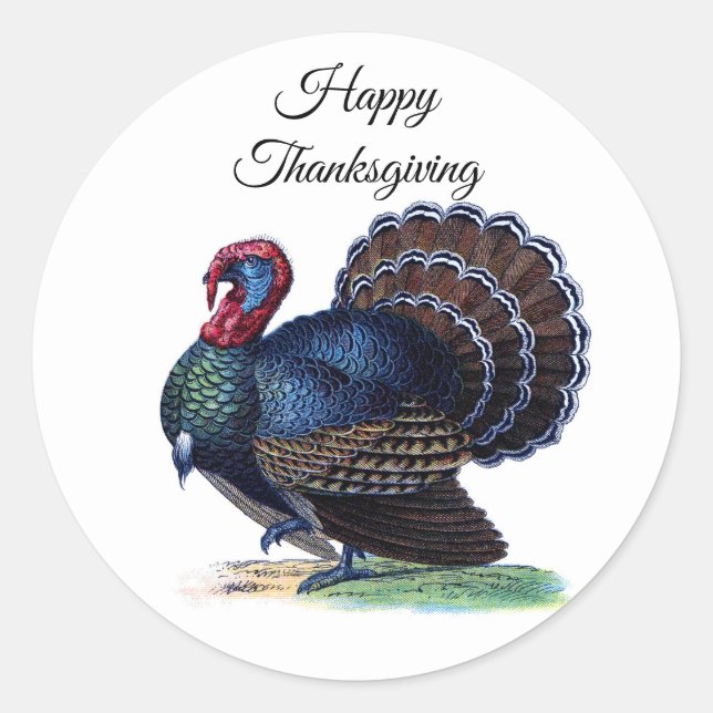 Vintage Thanksgiving Turkey Classic Round Sticker (Front)