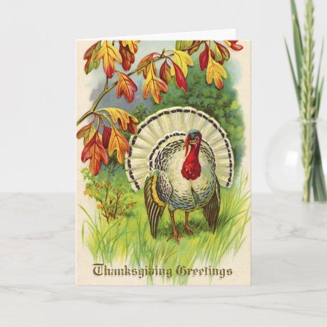 Vintage Thanksgiving Turkey Holiday Card (Front)