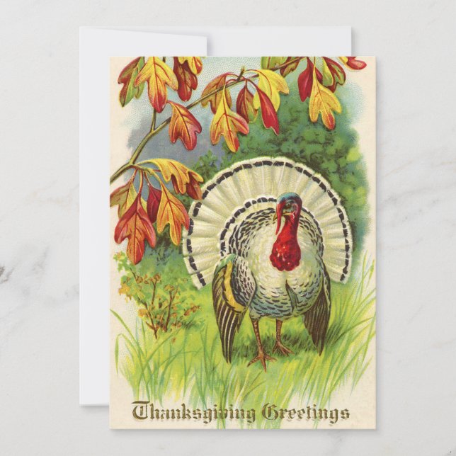 Vintage Thanksgiving Turkey Holiday Card (Front)