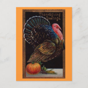 Vintage Thanksgiving Turkey Holiday Postcard