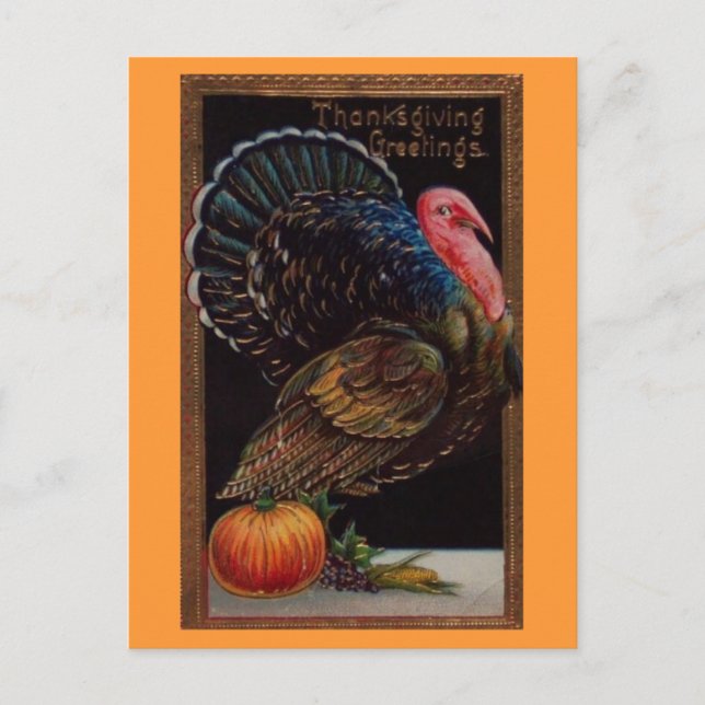 Vintage Thanksgiving Turkey Holiday Postcard (Front)