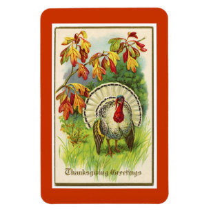 Vintage Thanksgiving Turkey Magnet