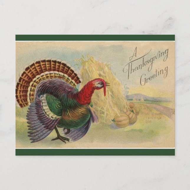Vintage Thanksgiving Turkeys and Haystacks Postcard (Front)