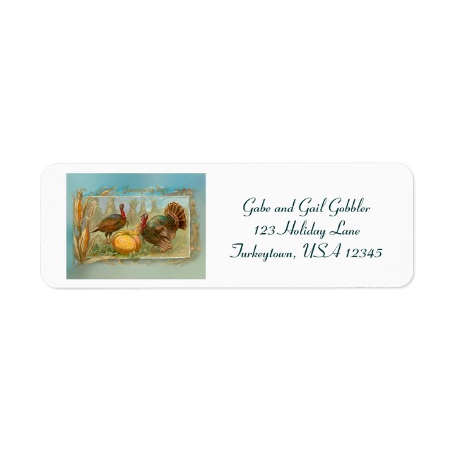 Vintage Thanksgiving Turkeys and Pumpkin (Front)