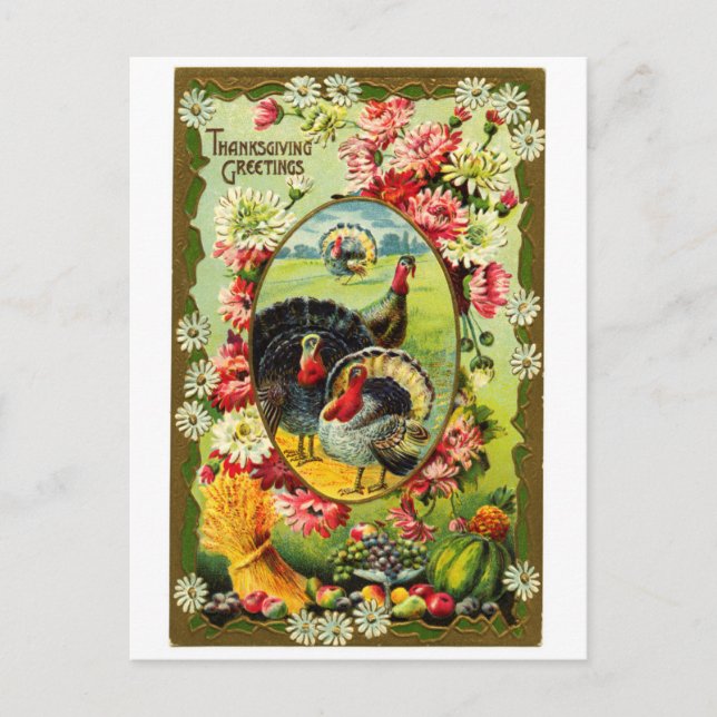 Vintage Thanksgiving Turkeys Postcard (Front)
