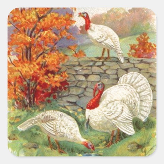 Vintage Thanksgiving White Turkeys Square Sticker (Front)