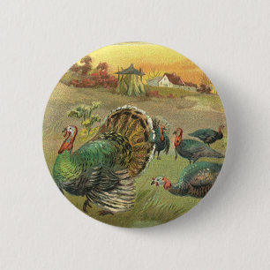 Vintage Thanksgiving with Turkeys and Pilgrims 2 Inch Round Button