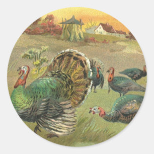 Vintage Thanksgiving with Turkeys and Pilgrims Classic Round Sticker