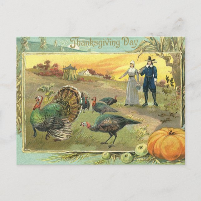 Vintage Thanksgiving with Turkeys and Pilgrims Holiday Postcard (Front)