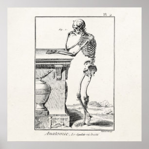 Vintage Thinking Human Skeleton Medical Anatomy Poster