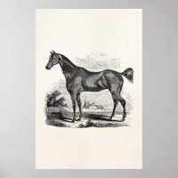 Vintage Thoroughbred Horse Equestrian Personalized