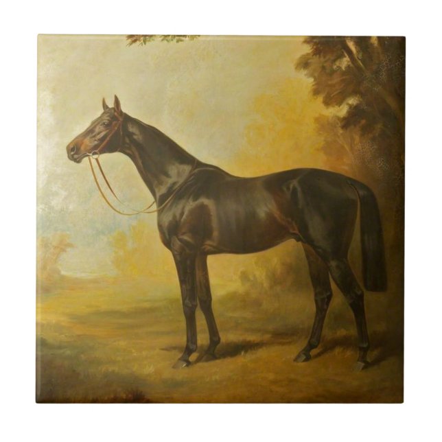 Vintage Thoroughbred Horse Tile (Front)