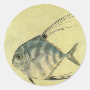 Vintage Threadfin Trevally, African Pompano Fish Classic Round Sticker