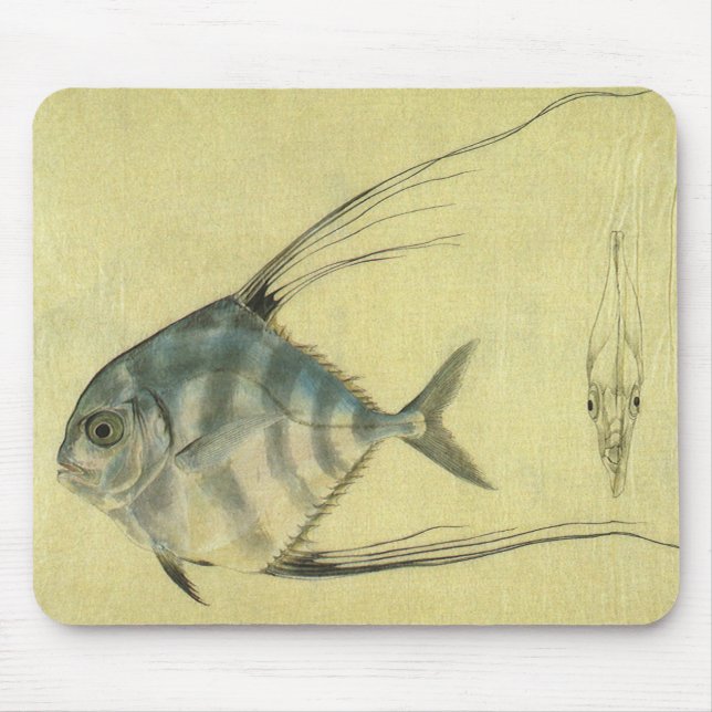 Vintage Threadfin Trevally, African Pompano Fish Mouse Pad (Front)