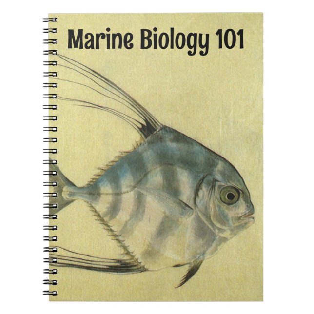 Vintage Threadfin Trevally, African Pompano Fish Notebook (Front)