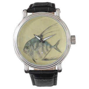 Vintage Threadfin Trevally, African Pompano Fish Watch