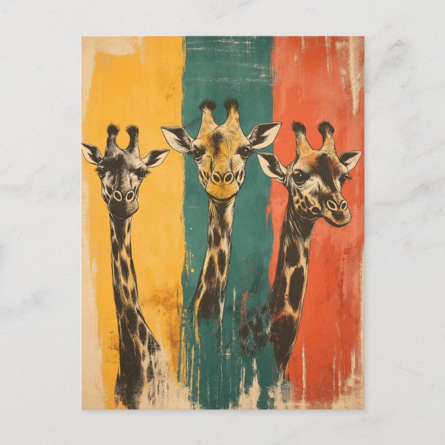 Vintage Three Giraffes Postcard (Front)