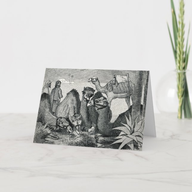 Vintage Three Wise Men Greeting Card (Front)